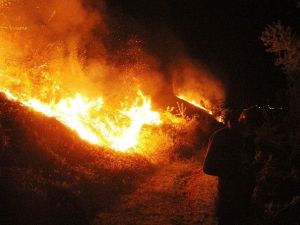 Ormanlık Alanda Çıkan Yangın Korkuttu