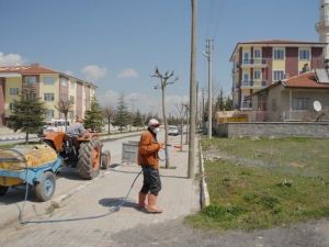 Bolvadin’de İlaçlama Çalışmaları Devam Ediyor