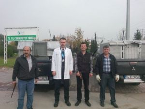 Zabıta, Binlerce Sahipsiz Hayvana Kol Kanat Gerdi