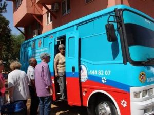 Mobil Kısırlaştırma Ünitesi Avsallar’da