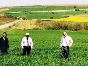 Erken Dönemde Süne İle Kimyasal Mücadeleye Para Cezası