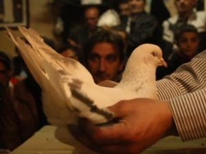 Erzurum’da Güvercin Mezadına Büyük İlgi