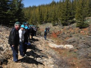 Kayseri Orman Bölge Müdürlüğü Teknik Gezi Ekibi Mersin’de