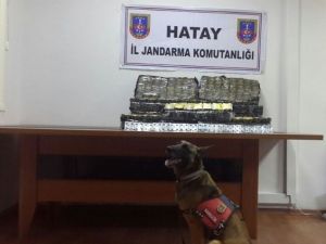 Hatay’da Kaçakçılık Operasyonları