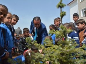 Tatvan’da Fidan Dikim Etkinliği