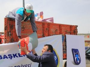 Gölbaşılı Çiftçilere Tohum Desteği