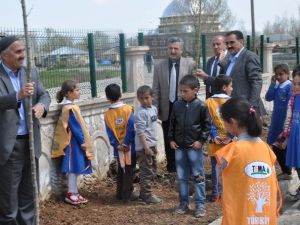 Minik Öğrenciler Fidanları Toprakla Buluşturdu