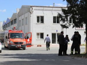 Facia Kıl Payı Önlendi