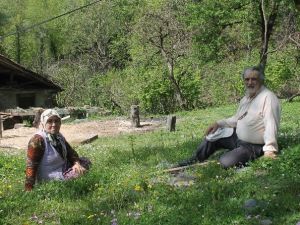 Yaşlı Çiftin Yol İsteği