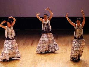 Dans Festivali’nde Renk Cümbüşü