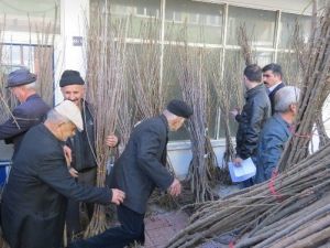 Küre Sosyal Yardımlaşma Ve Dayanışma Vakfından Vatandaşlara Fidan Desteği