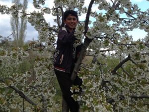 Pazarlar Çiçek Açtı