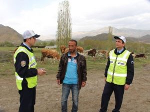 Oltu Bölge Trafik Ekipleri Çobanları Uyardı