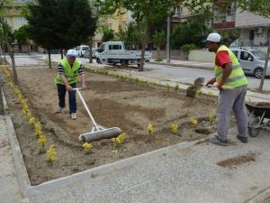 Yunusemre Belediyesi Saha Çalışmasına Başladı