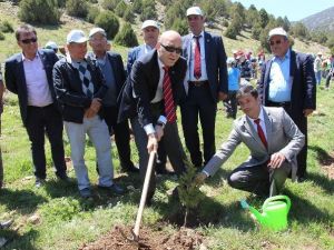 Bucak’ta 250 Bin Fidan, Toprakla Buluştu