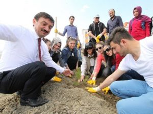 Sorgun MYO’da Fidanlar Toprakla Buluşturuldu