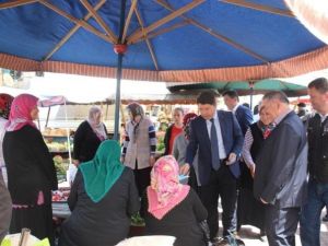 AK Parti Milletvekili Adayları Apdipaşa’da