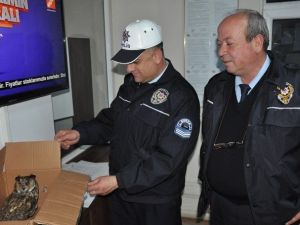 Yaralı Baykuşa Polis Şefkati