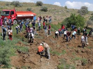 FÜ Öğrencileri Fidan Dikti