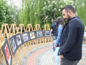 Türk Ocaklarından ’Soykırım’ Sergisi