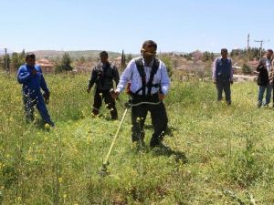 AK Parti Adayı Samani, Temizlik İşçilerine Yardım İçin Ot Biçti