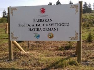 Düzce’de Başbakan Adına Hatıra Ormanı Oluşturuldu