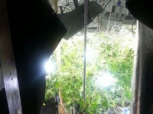 Uyuşturucu Tiryakilerinin Düzeneği Jandarmayı Bile Şok Etti