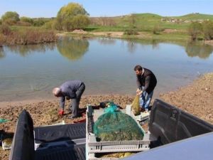 ‘Kurbağacılara’ Rekor Ceza
