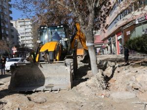 Büyükşehir, Aykome’yi Kurdu