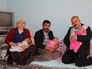 Üçüz Bebeklere Büyükşehir Sahip Çıktı