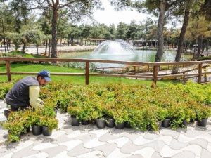 Dülük Tabiat Parkı Rengarenk