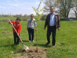 Etili Köyüne 300 Fidan Dikildi