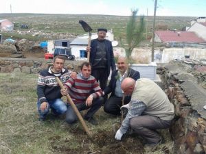 Belediye’den Ağaçlandırma Çalışması