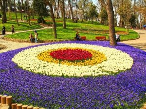 Festivalden Geriye Kalanlar