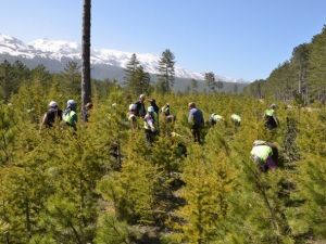 Toplum Yararına Çalışma Programı, İşsizlere Umut Oldu