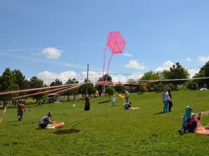 Gesi Mesire Alanı Genişletiliyor