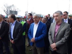 Bereket Ormanı’nda Fidanlar Toprakla Buluştu