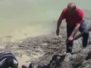 İtfaiye Ekiplerinden İnek Kurtarma Operasyonu