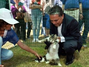 Türkiye’de İlk Kez Düzenleniyor