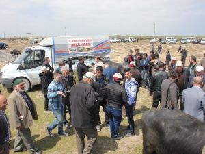 Deltaya Manda Salınım Festivali