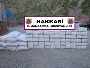 Jandarma Kaçakçılığa Geçit Vermiyor