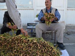 ‘Yayla Muzu’ Tezgahlardaki Yerini Aldı