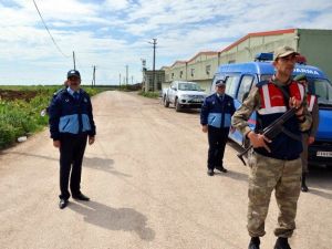 Kuş Gribi Karantinası Başladı