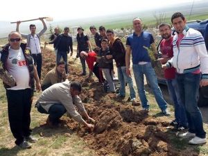 Karatepe Köyü’ne Bin 750 Ağaç Dikildi