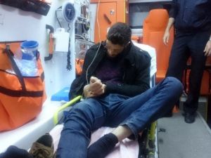 Bonzai Kullanan Genç Hastanelik Oldu