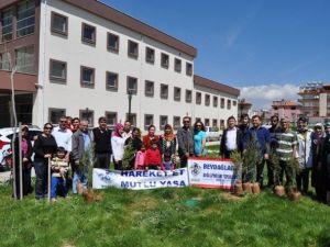 Personel, Hastane Bahçesinde Fidan Dikti