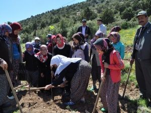 Korkuteli Avdan Kuran Kursu Öğrencilerinden Hatıra Ormanı