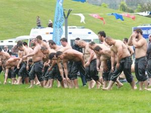 7. Sekapark Altın Kemer Yağlı Güreşleri İçin Geri Sayım Başladı