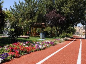 Mamak’ta Yazlık Peyzaj Çalışmaları Başladı