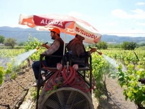 Türk Çiftçinin Buluşu Merak Uyandırdı